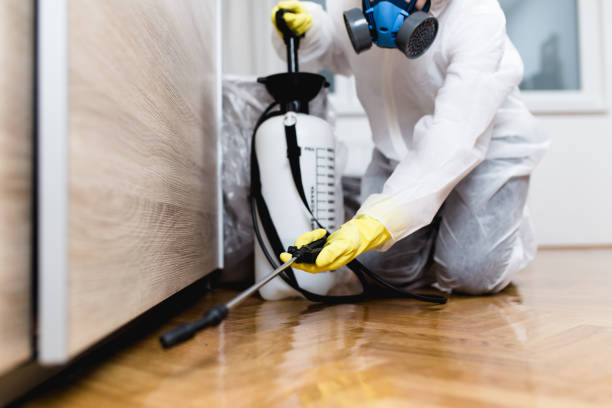 Pest Prevention Services in Providence Village, TX