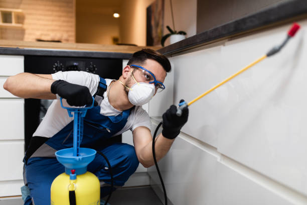Best Pest Prevention Services  in Providence Village, TX