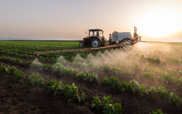 Best Mosquito Control Services  in Providence Village, TX