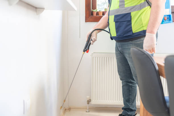 Professional Pest Control in Providence Village, TX
