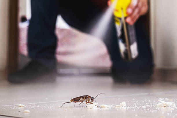 Best Pest Control for Restaurants  in Providence Village, TX